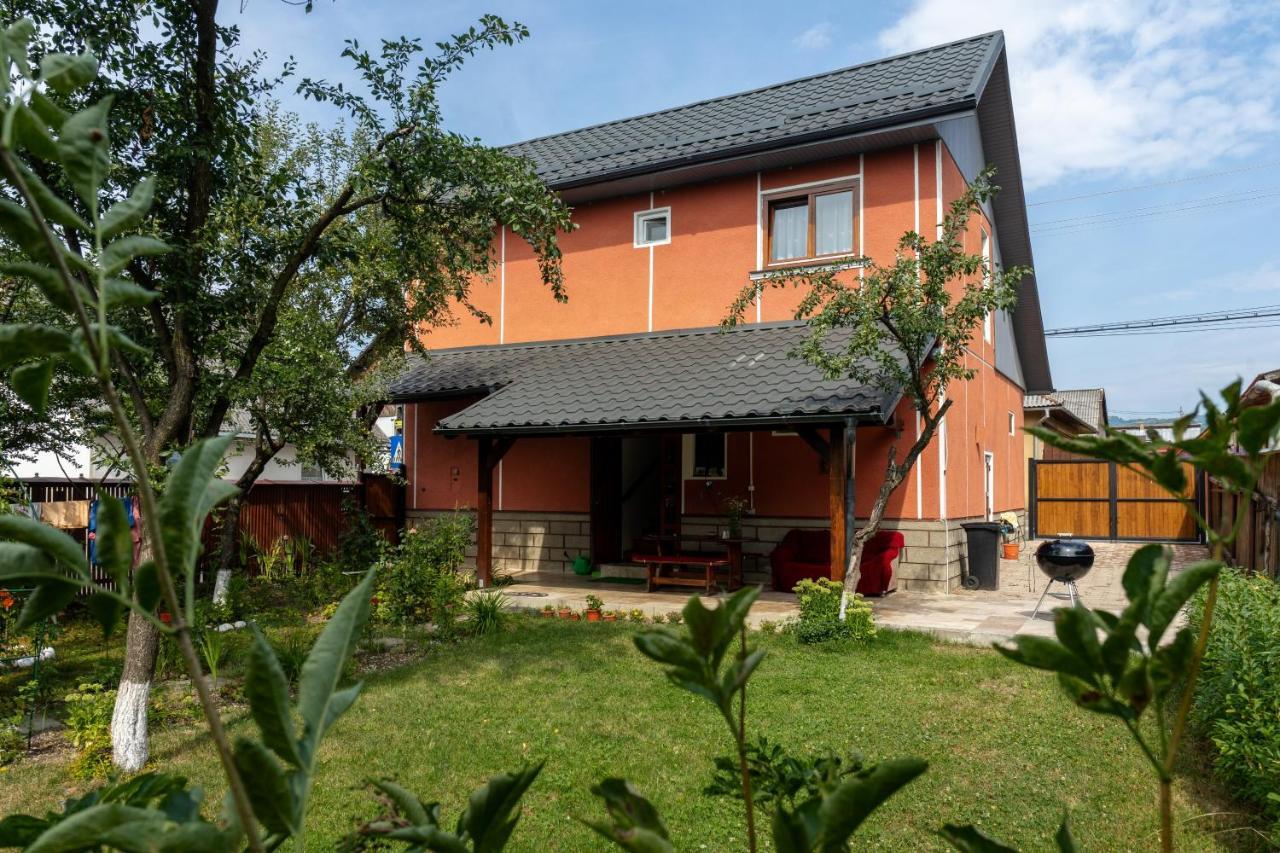 Generous Family Home Vişeu de Sus Buitenkant foto